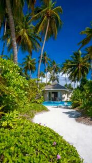Your beach 🏝️ villa is ready ….
🎥 @impressionsphotobysakis  #luxurylifestyle #luxuryhotel #luxurytravel #slowlife #beachlife