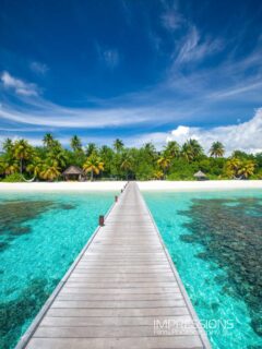 Walking away from it all ….
📷 @impressionsphotobysakis #luxuryhotel #luxurytravel #luxuryresort #luxurylifestyle #beachlife