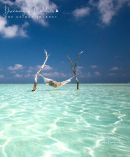 I receive two types of messages about the Maldives :
🌴 “This is my Dream.”
💭 “Why is it so expensive ?”
Both are valid. Both deserve honest answers.
What’s your take?
For those curious about the “why”, I recently broke it down here 👉 in the comments. #maldives #travelwithme #wanderlust