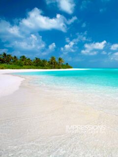 Collecting quiet moments…
📷 @impressionsphotobysakis  #luxurytravel #luxurylifestyle #beachlife #islandlife #wanderlust