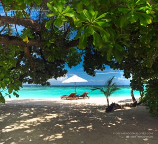 At the end of the path, there is always a Dream 🌴
Dreaming of Maldives.
📷 @impressionsphotobysakis #LuxuryTravel #chillvibes #beachvibes #luxuryhotel #maldives