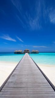 Chill out in the Blue…
🎥 @impressionsphotobysakis #luxurylifestyle #beachlife #luxuryhotel #luxurytravel #beautifuldestinations