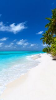 Private Paradise 
🎥 @impressionsphotobysakis  #luxurytravel #luxurylifestyle #luxuryhotel #beachlife #travelgoals