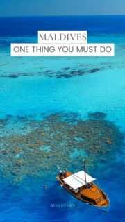 The One Thing You Must Do in The Maldives 💙
Everyone shows the Maldives…but not THIS. For us, you don’t live the Maldives Dream without sailing a Dhoni ! It’s a must DO.  More than a boat, the dhoni is part of the Maldives’ Islands soul.
For generations, Maldivians have built them by hand using coconut palm timber, shaping each curve with knowledge passed down over centuries. #maldives  #luxurylifestyle #beachlife #luxurytravel #slowlife  travelwithme