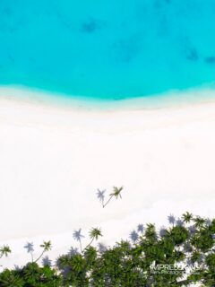 Wish you were here….  📷 @impressionsphotobysakis  #luxurytravel #travelgoals #beachlife #wanderlust #maldives