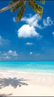Where I’d rather be…
🎥 @impressionsphotobysakis #luxurytravel #luxurylifestyle #luxuryhotel #beachlife #travelgoals