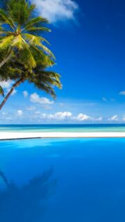 Shades of blue. Endless serenity.
🎥 @impressionsphotobysakis  #luxurytravel #luxuryhotel #luxurylifestyle #beachlife #travelgoals