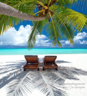Start dreaming. Your next paradise is waiting. 
📷 @impressionsphotobysakis  #luxurylifestyle #luxurytravel #luxuryhotel #TravelGoals #beachlife