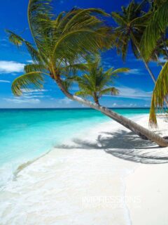Slow life, Unplugged, Under the palms.
📷 @impressionsphotobysakis #luxurytravel #beachlife #travelgoals #travelinspiration #slowlife