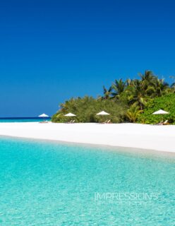 Where I belong …
📷 @impressionsphotobysakis #luxurytravel #luxuryhotel #beachlife #travelgoals #travelinspiration