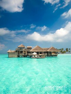 Midday Sumer dream …
📷 @impressionsphotobysakis #luxurytravel #luxuryhotel #beachlife #travelgoals #travelinspiration