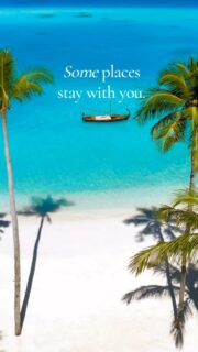 15 Years of Maldives Dreams. 
What is the Best Resort in the Maldives for 2026 ? You decide.  For the 15th consecutive year, the official Top 10 Best Maldives Resorts is back. A tradition shaped by travellers to create the ultimate Maldives collection.  #TOP10Maldives #Dreamingofmaldives #luxuryresortsmaldives #maldives2026 #top10Maldives