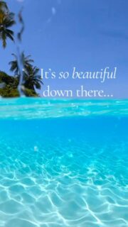 It’s so beautiful down there. Earth’s clearest waters : Maldives blue lagoons 🩵
No noise. No rush. Just blue.  Dreaming of Maldives.
#Maldives #travel  #bucketlist #Maldives2026 #TropicalParadise