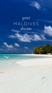 Your Maldives dream is closer than ever.
For fifteen years, thousands of memories have shaped one collection, created by travelers.
The journey towards the Best Maldives Resorts 2026 is almost complete.  If you have not shared your choice yet, there is still time to help shape the Top 10 Maldives Dreamy Resorts 2026.  What’s your Maldives dream?  🔗 Vote via the link in the comments.
#maldives #luxurylifestyle #wanderlust #maldivesislands #wonderful_places