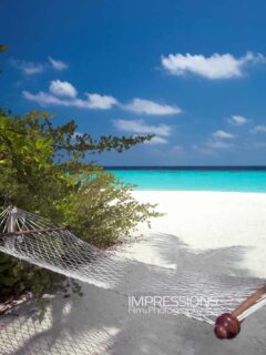 All I need…
📷 @impressionsphotobysakis #luxurytravel #luxuryhotel #travelgoals #travelinspiration #beachlife