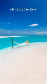 Found where I want to be.
Send this to someone who needs a vacation. 🎥 @impressionsphotobysakis #luxurytravel #luxuryhotel #travelgoals #beachvibes #travelinspiration