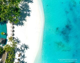 Some people come to the Maldives for the pool.
We’ll never understand why 🧐
🌴 Dreaming of Maldives 
📷 - Drone shot @impressionsphotobysakis  #Maldives #MaldivesResorts #BucketListTravel #dronephotography #vista
