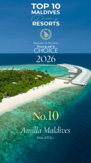 You voted. You chose. 🏆 Amilla Maldives is your No.10 in the TOP 10 Best Maldives Resorts 2026.  Amilla Maldives is a Dream island in Baa Atoll, where nature, space and extraordinary marine life come together.  Why is Amilla Maldives a Dream?
🌴 Lush island living
🐠 Vibrant house reef
🌊 The Blue Hole
✨ Manta encounters  What’s yours?  #BestMaldivesResorts2026 #Top10MaldivesResorts #AmillaMaldives #Maldives #BaaAtoll MaldivesResorts DreamingOfMaldives