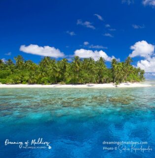 They say all Maldives islands look the same.
We respectfully disagree. Strongly. Sorry. 😎  🌴 Dreaming of Maldives
📷 - @impressionsphotobysakis  #maldivesislands #wanderluster #bucketlisttravel #maldives #amazingnature