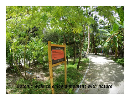 The Nature trail at Kuramathi