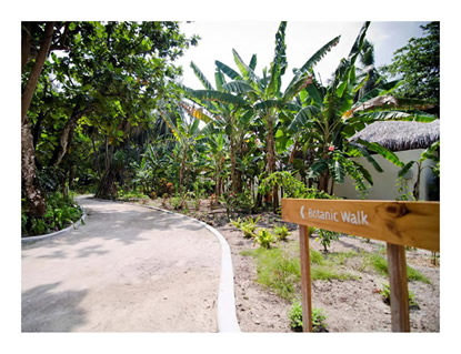 Botanic Walk at Kuramathi