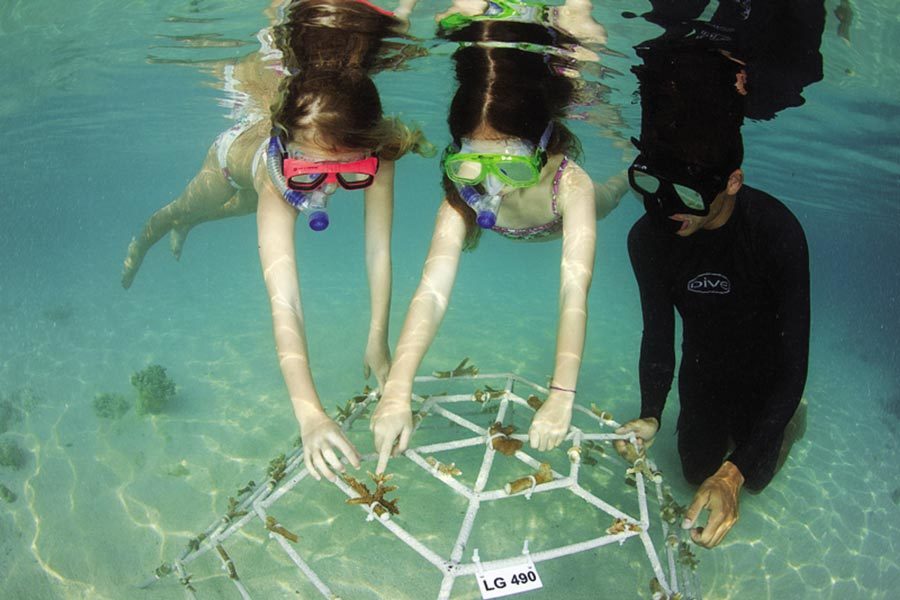 Marine Biology Maldives at Four Seasons Landaa Giravaru