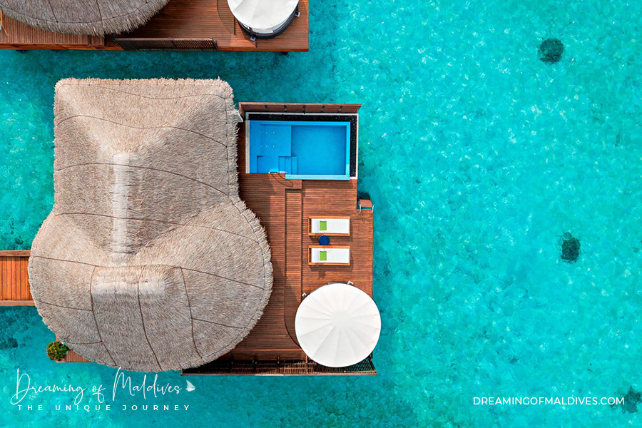 Spectacular Ocean Oasis W Maldives