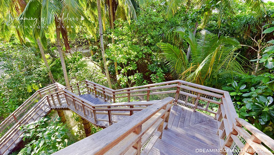 Amilla Maldives Tree house