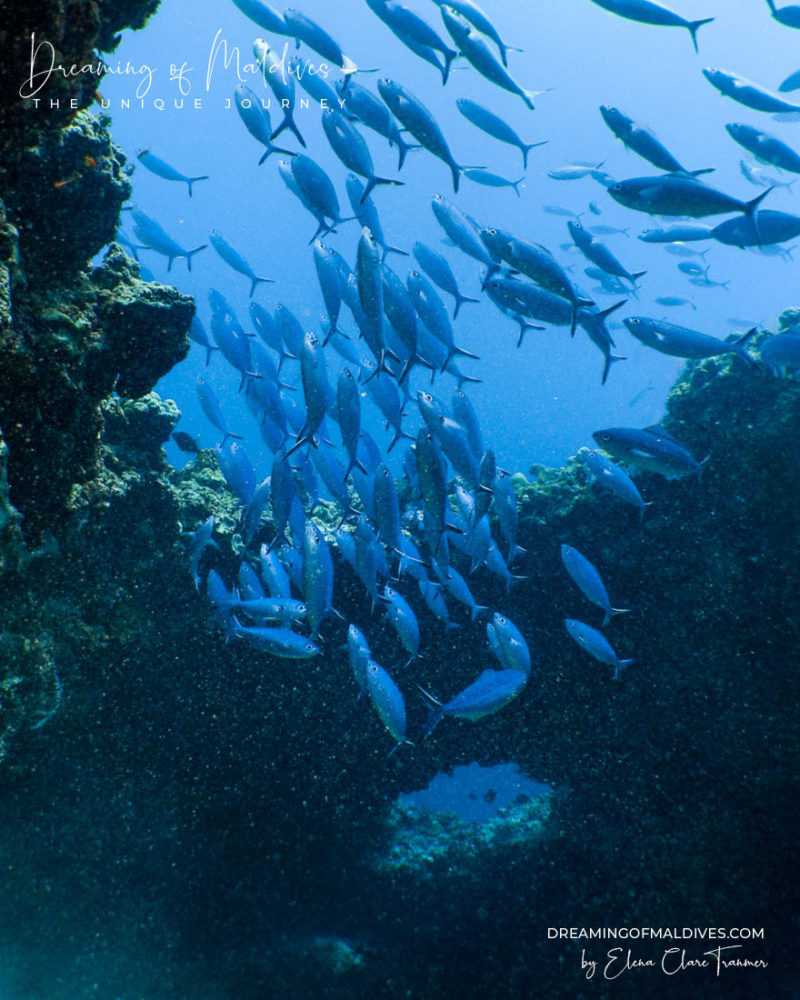 Amilla Maldives Blue Hole