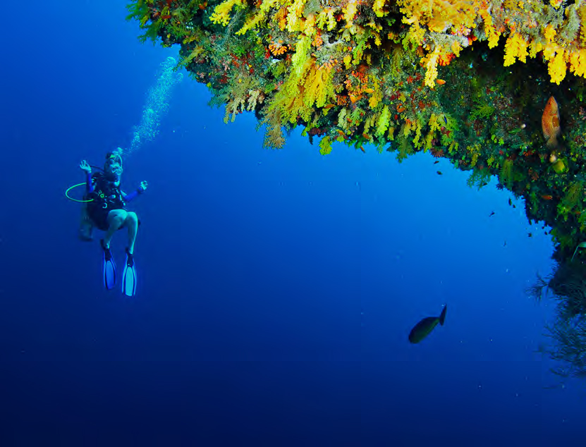 Diving in Baa Atoll Anantara Kihavah