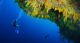 golden wall baa atoll best diving anantara kihavah