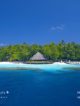 best maldives atolls for snorkeling