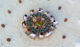 Top things to do at Soneva Fushi Maldives dine with your friends or family on a private sandbank