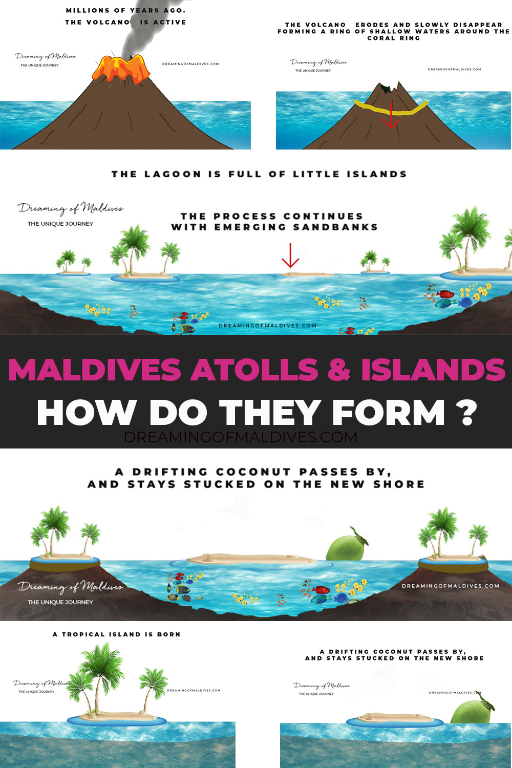 birth of Maldives Atolls and Islands illustrated