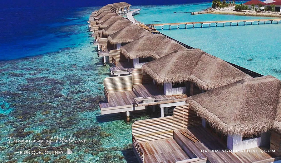 Cocogiri Water Villas house reef snorkeling