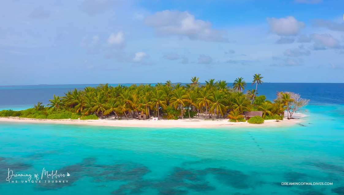 W Maldives concert Live DJ session Gaathafushi Island