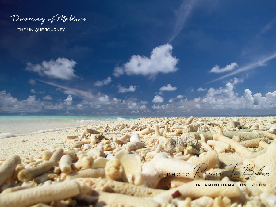 formation of a sandbank in Maldives.