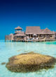 coral gardens gili lankanfushi beautiful corals