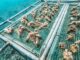 Coral gardening