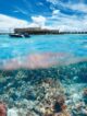 Coral Restoration in the Maldives : The Resorts Helping Rebuild the Reefs