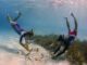 coral project Anantara Kihavah