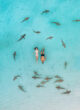 couple floating among nurse sharks in Maldives