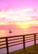 small dhoni at sunset in a maldivian resort