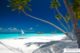Gili Lankanfushi Maldives small dhoni