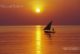 dhoni boat sailing at sunset 