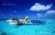 maldives seaplane transfer 