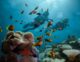 Diving corals fish six senses laamu