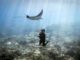 Snorkeling and Diving at Gili Lankanfushi Maldives