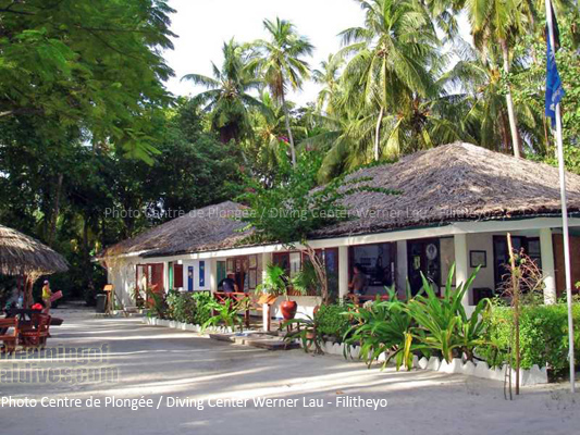 diving filitheyo maldives Faafu Atoll