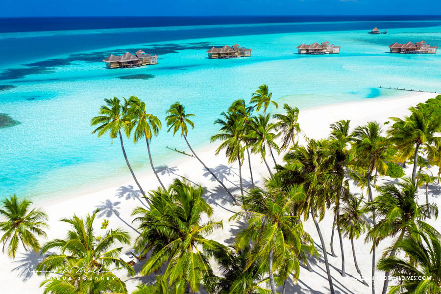 gili lankanfushi 2023 maldives best luxury resort